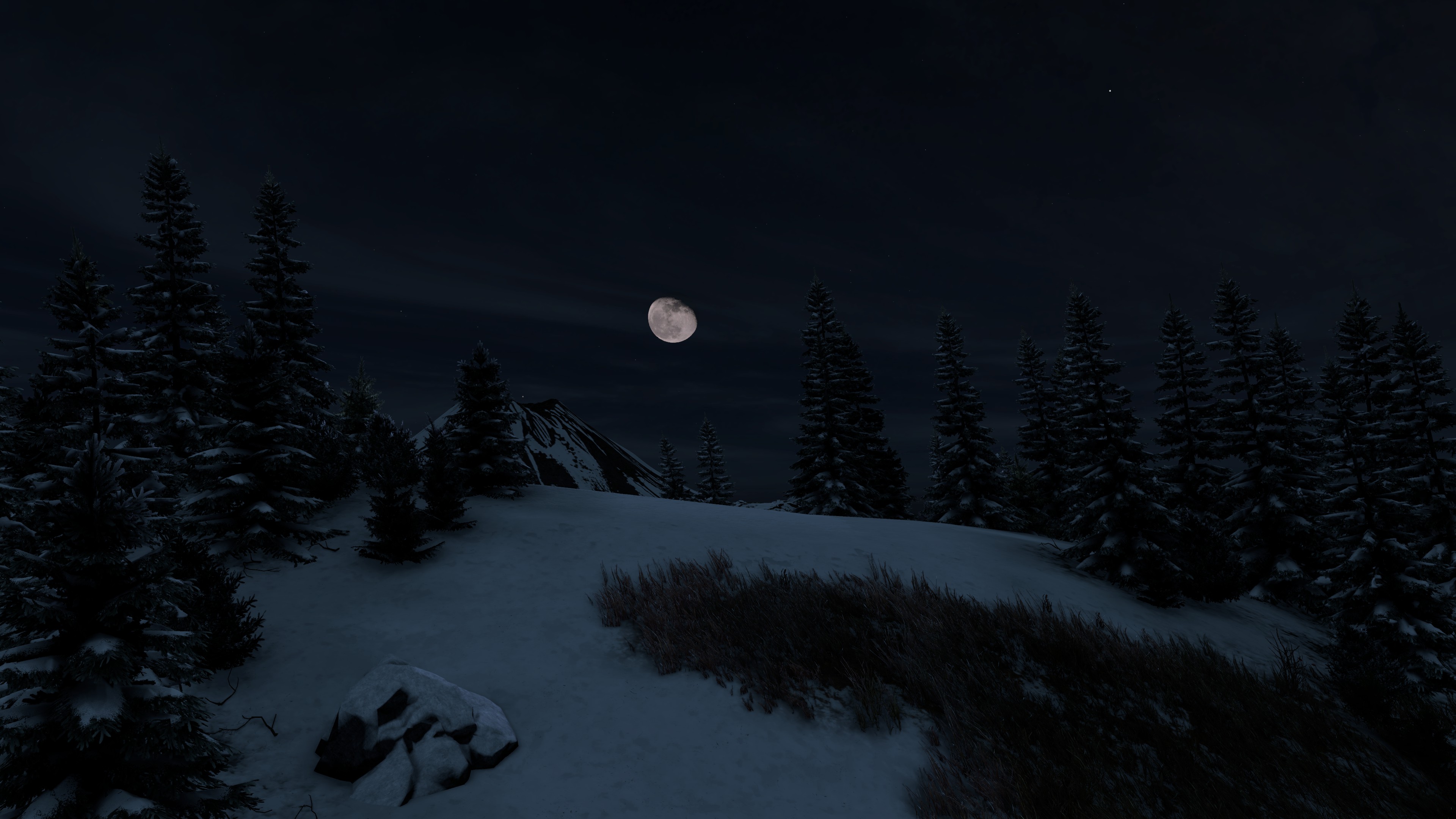 Night Background