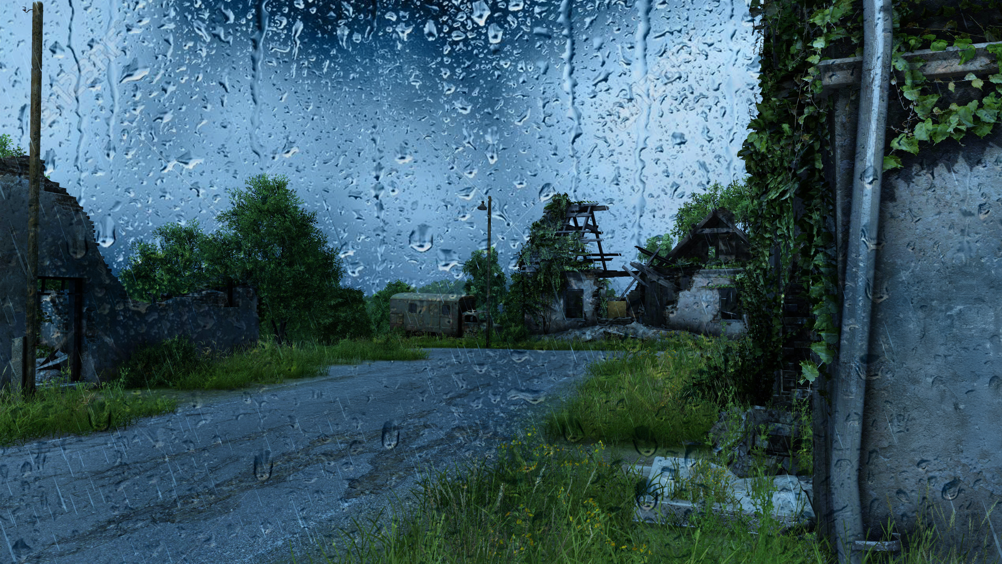 Server Bild