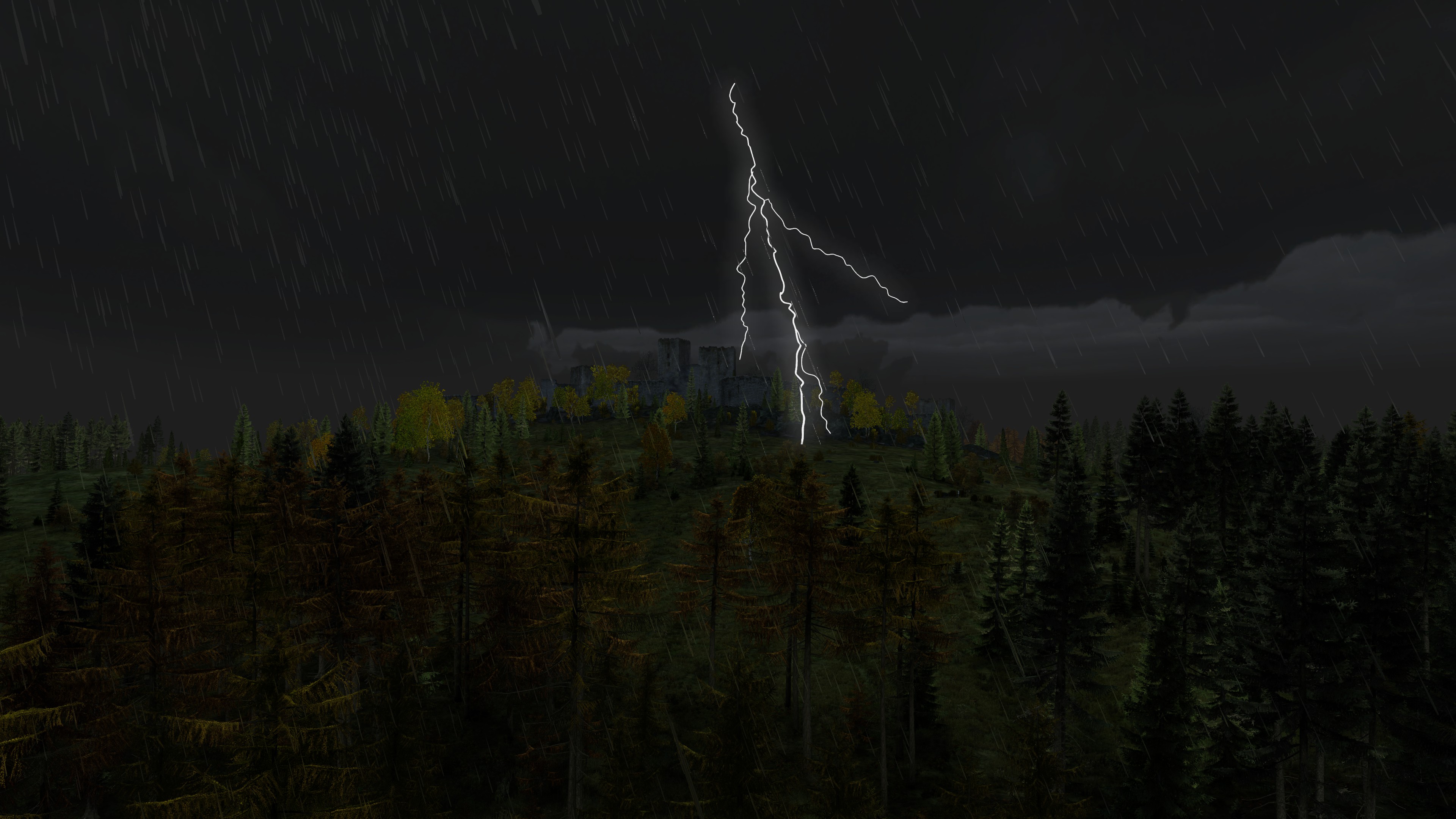 Server Bild